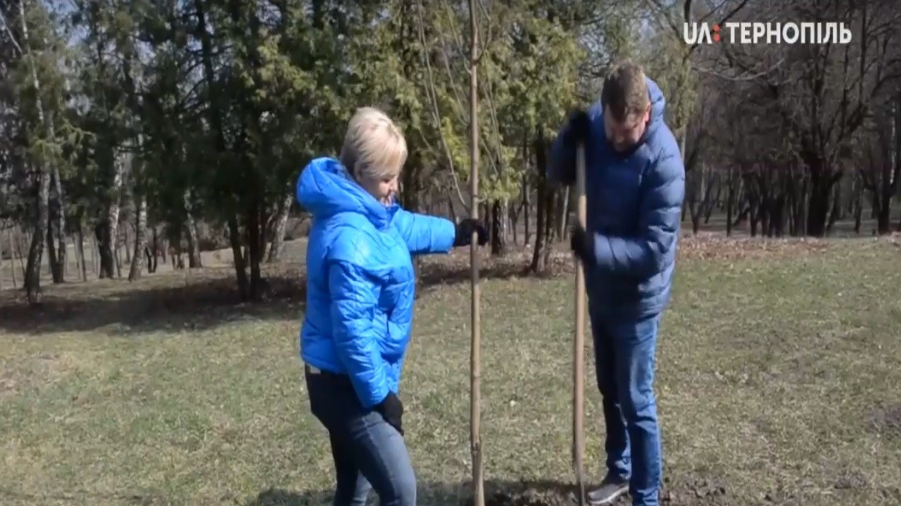 150 дерев висадили учасники акції «Тернопіль- найзеленіше місто»