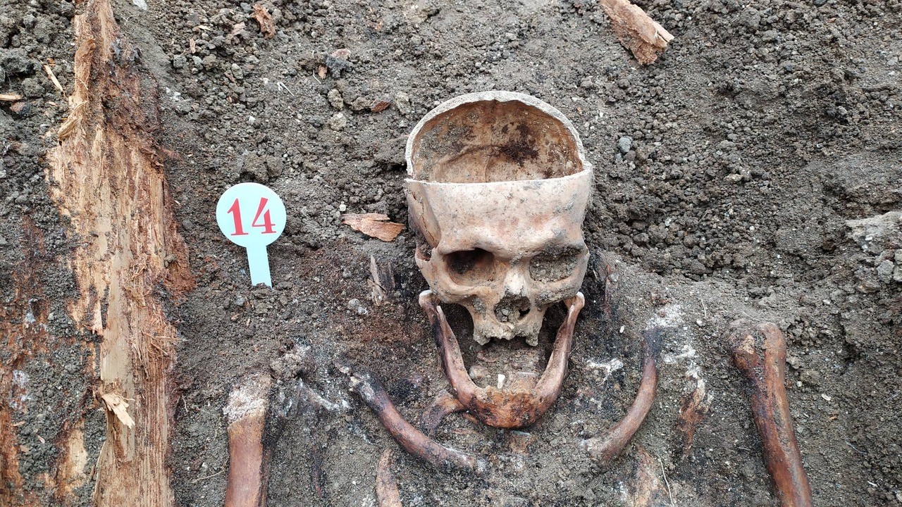 15 скелетів, які витягнули  в Чорткові – поховання в’язнів 40-50-х рр