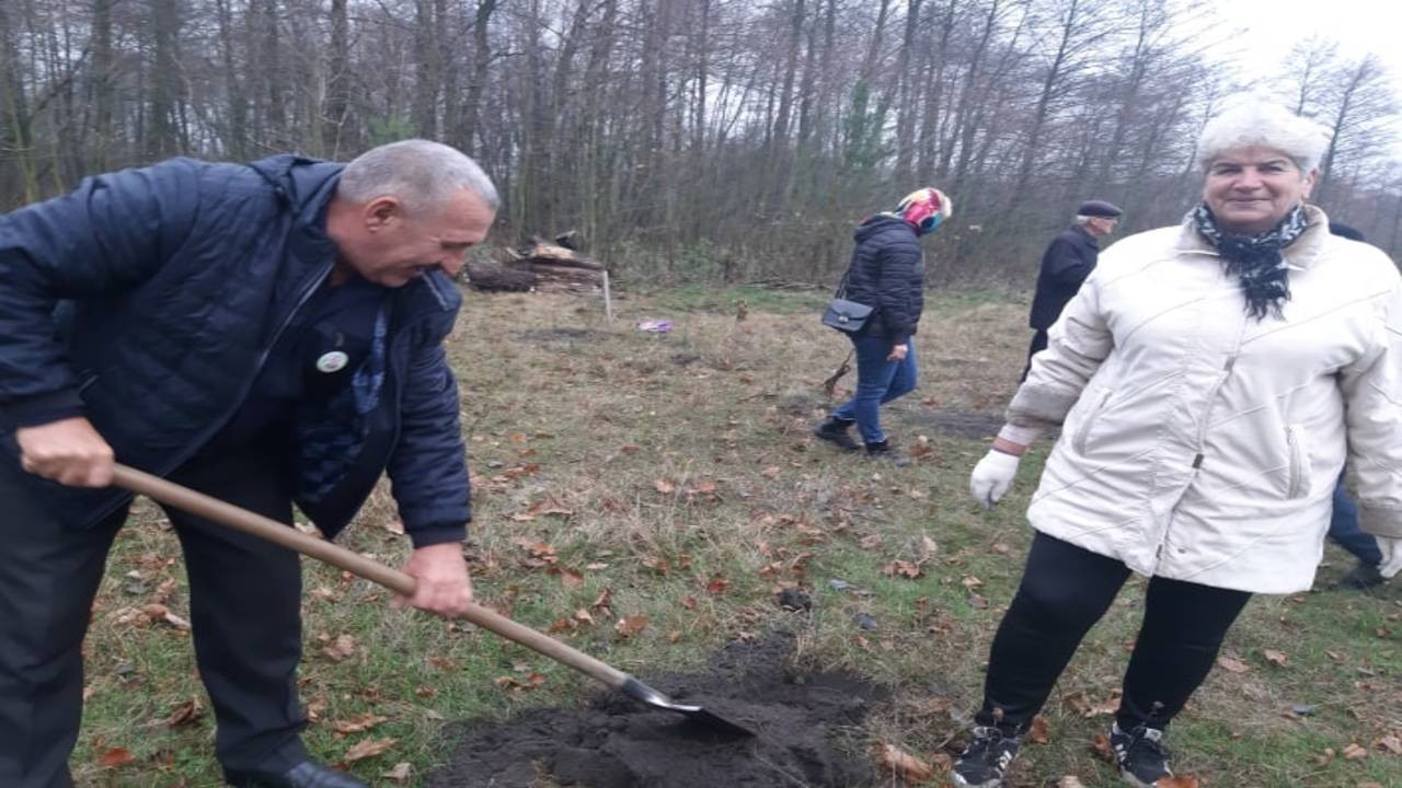 У селі Лішня на Кременеччині висадили алею дубів